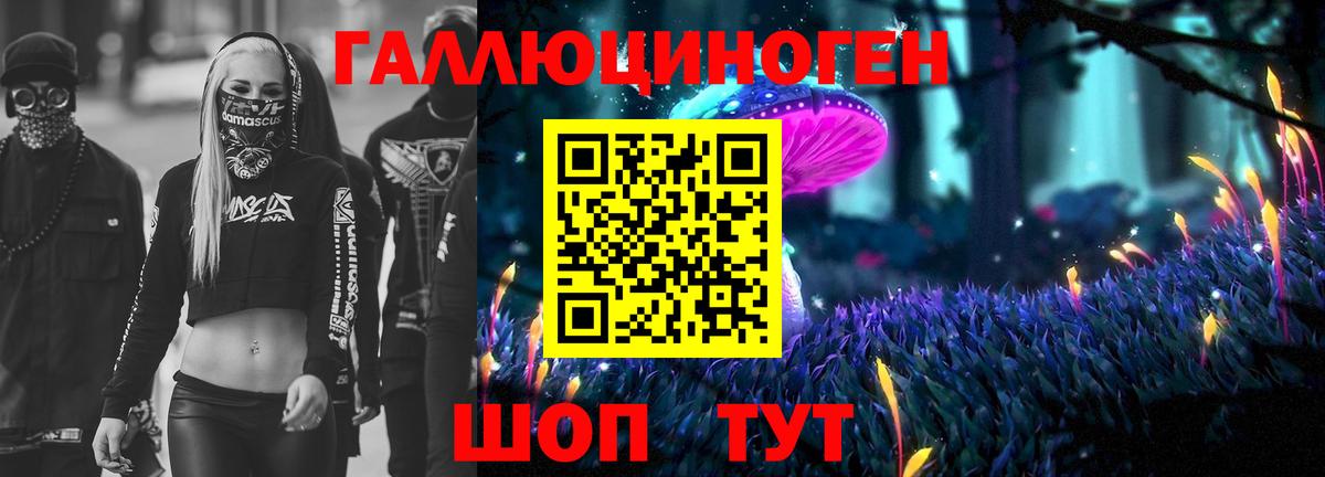 Галлюциногенные грибы прущие грибы Кемерово